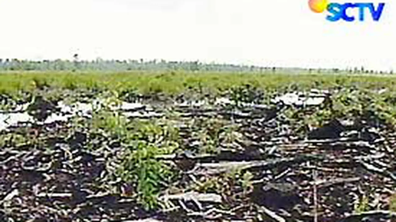 071214bktt-iklim.jpg