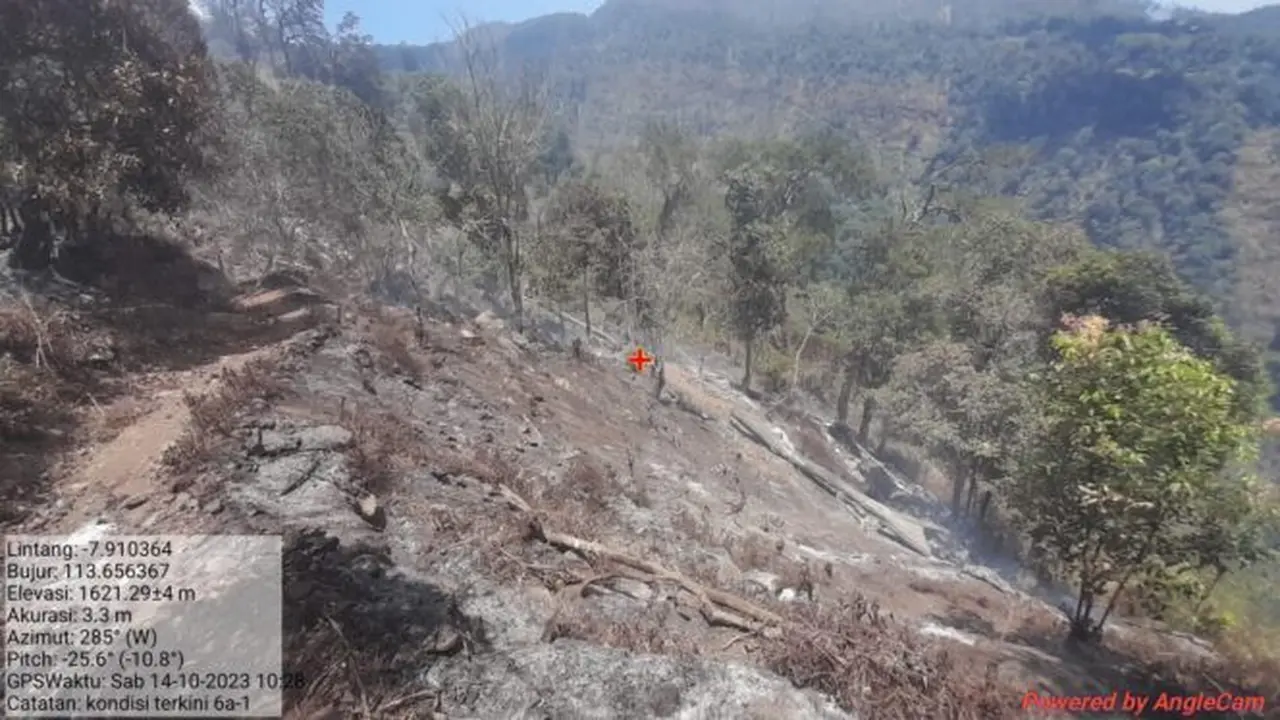 Gunung Argopuro segera dibuka kembali untuk kegiatan wisata alam, pendakian, dan penelitian mulai 1 Mei 2024, melalui pintu Baderan. (Istimewa)