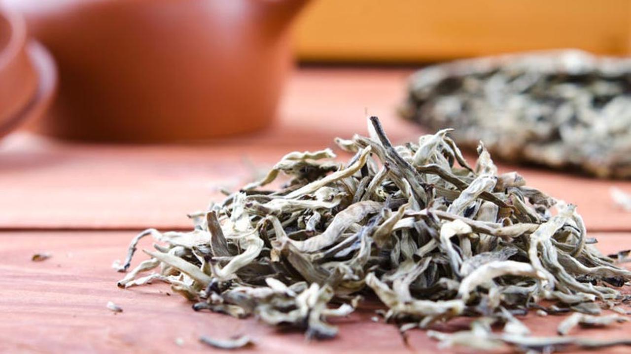 Ingin Tubuh Sehat dan Awet Muda? Coba Teh Putih!