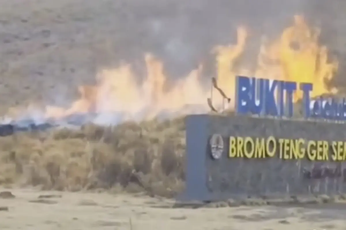 Kebakaran Bukit Teletubies Gunung Bromo