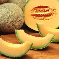 Melon Yubari King normalnya dijual dengan kisaran harga US$ 150-US$ 200 per buah. Tetapi baru-baru ini, sepasang melon Yubari dengan bentuk dan pembuahan yang sempurna dijual seharga US$ 26 ribu atau Rp 316,19 juta. (www.carmencitta.me)