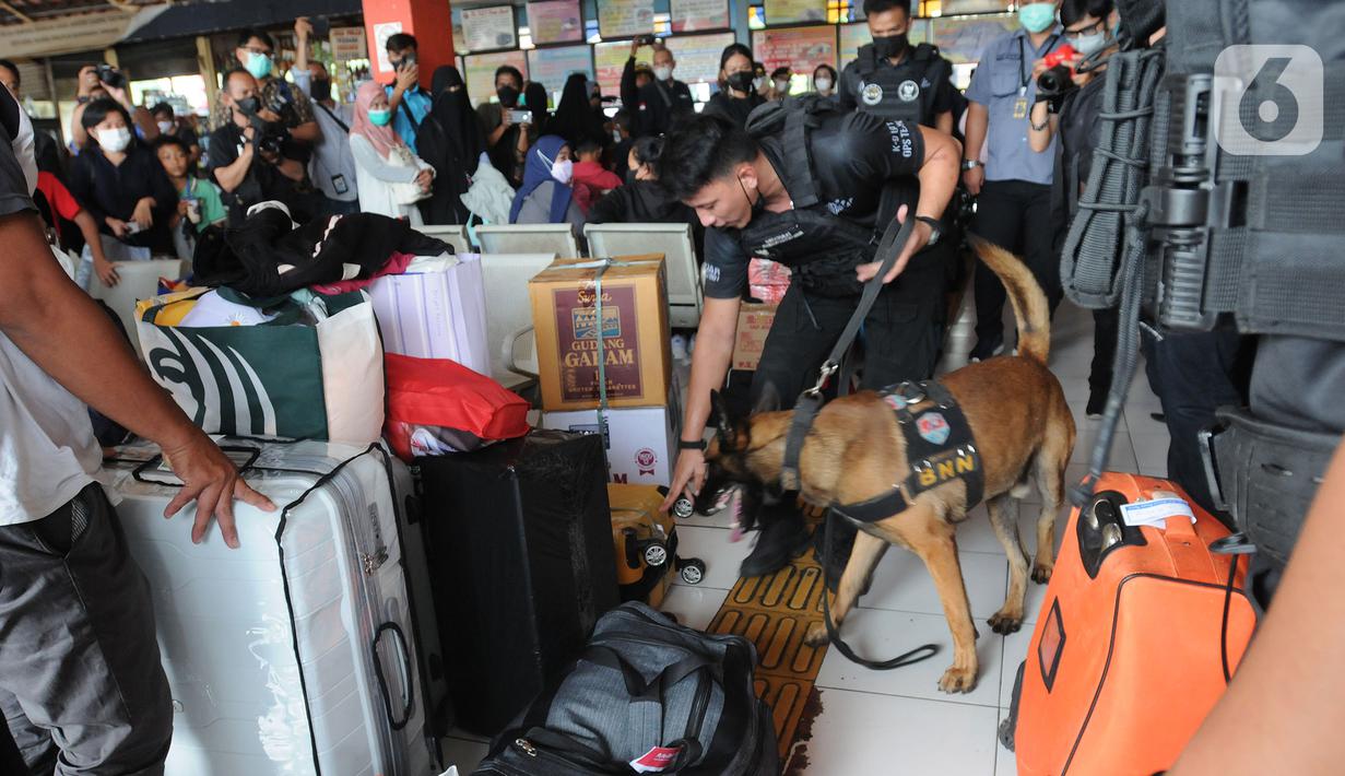 <p>Anjing pelacak K9 BNN mengendus para penumpang di Terminal Kampung Rambutan, Jakarta, Rabu (27/04/20222). Pemeriksaan dengan anjing pelacak tersebut dilakukan guna mengantisipasi peredaran narkoba di tengah arus mudik menyambut Lebaran atau Hari Raya Idul Fitri 1443 H. (merdeka.com/Arie Basuki)</p>