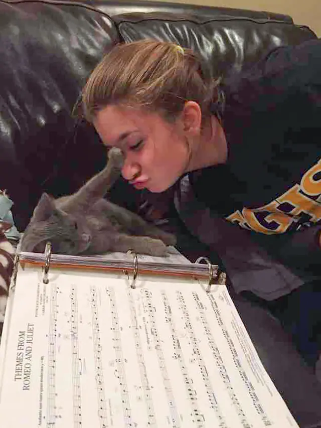 Tak Mau Dipeluk dan Dicium, 10 Ekspresi Kucing Ini Tampak Kocak