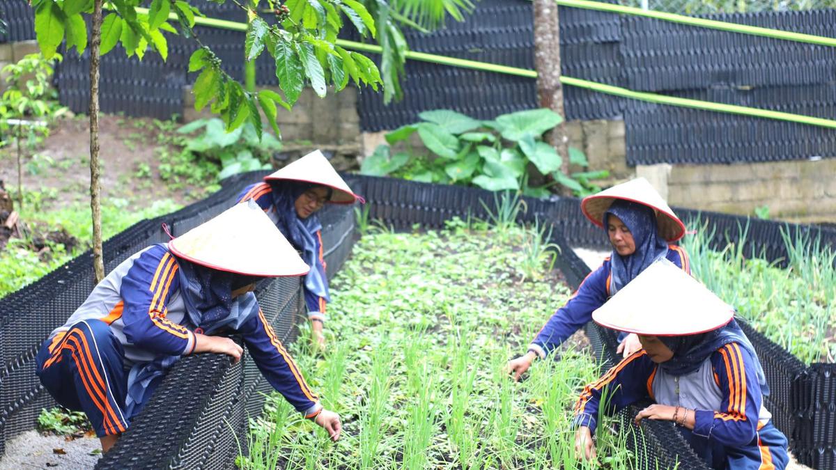 Siasat PGE Ulubelu Ambil Bagian Dukung Ketahanan Pangan dan Pemberdayaan Perempuan
