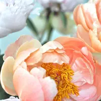 Ilustrasi bunga peony. Sumber foto: unsplash.com/Angela Groenendijk.