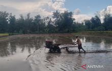 Bantuan Benih Blora: Pemkab Salurkan 1,1 Juta Kg Padi dan Jagung untuk Petani