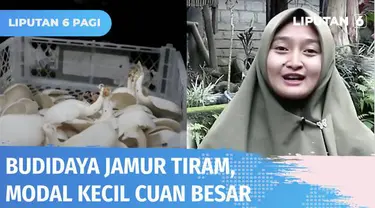 Berawal dari modal nekat Diana Wati menggerakan perekonomian desa lewat budidaya jamur tiram di Lombok Timur. Kini Diana bisa meraup untung besar. Mulai dari mempersiapkan baglog hingga penjualan jamur tiram. Simak kisahnya dalam Berani Berubah.