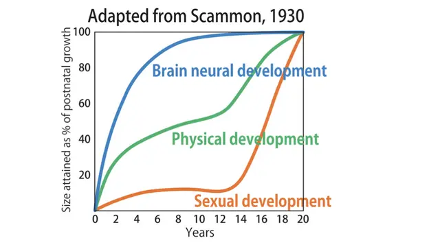 Peluncuran Wink di Indonesia,