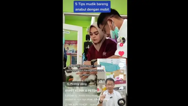 mudik bareng anabul
