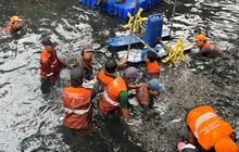 Operasi Serentak, 200 Kg Ikan Sapu-Sapu Ditangkap di Kelapa Gading Jakut