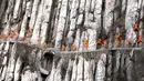 Sejumlah murid kungfu shaolin melakukan gerakan berbahaya diatas tebing gunung  Songshan, , China , (17/3). Dengan berpakaian kungfu dan senjata lengkap mereka berlatih dengan kompak. (REUTERS / China Daily)