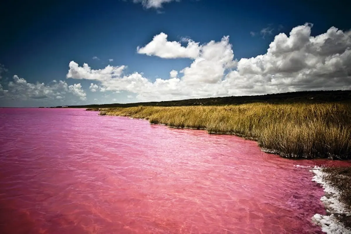 Danau Retba