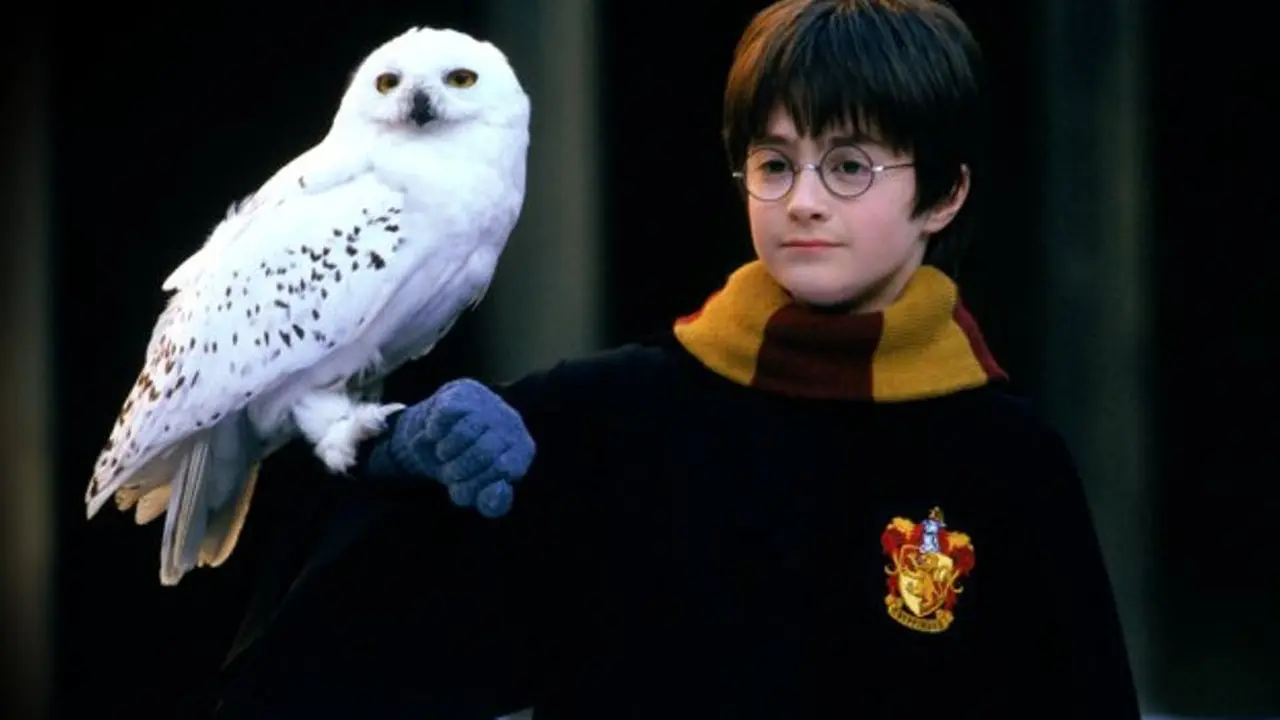 [Bintang] Harry Potter