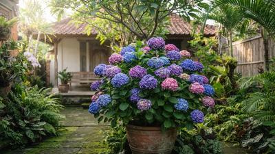 Cara Menanam Bunga Hydrangea untuk Pemula agar Cepat Berbunga dan Warnanya Cantik