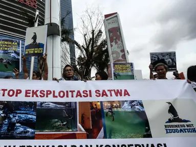 Aktivis dari Masyarakat Peduli Satwa (MPS) melakukan aksi di depan mall Neo Soho di kawasan Central Park, Jakarta Barat (15/01). Mereka melakukan aksi menolak keberadaan restoran Pingoo yang mempertunjukkan satwa Penguin. (Liputan6.com/Faizal Fanani)
