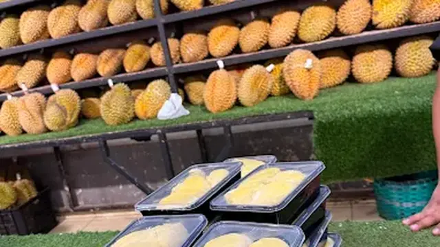 Lazorta durian Jogja