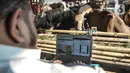 Azmi menggunakan laptop saat menjawab pertanyaan konsumen via website dan media sosial di Peternakan Yuk Qurban, Depok, Rabu (22/7/2020). Menurut Pemilik peternakan Yuk Qurban itu penjualan hewan kurban melalui daring disambut antusias masyarakat dan terus meningkat. (merdeka.com/Iqbal Nugroho)