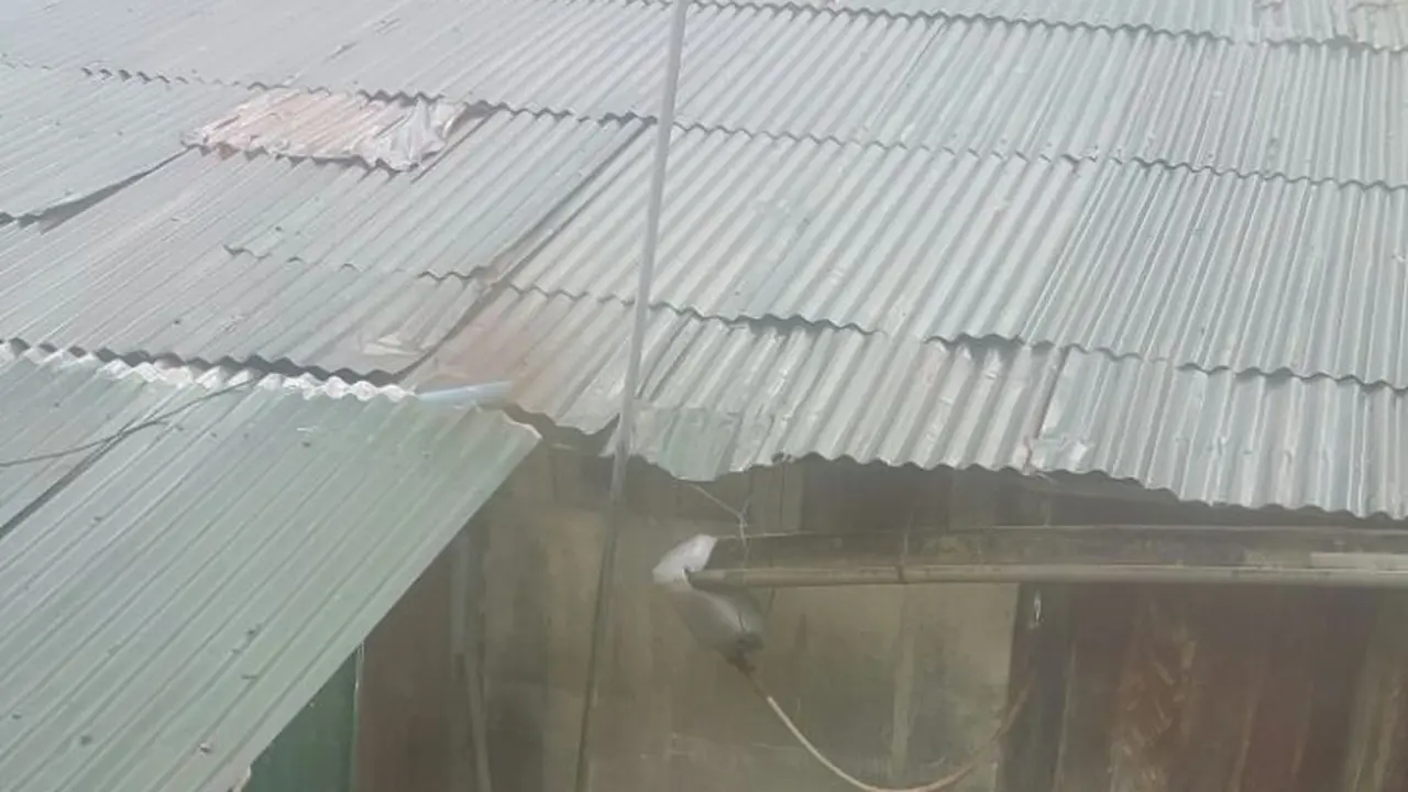 Papua