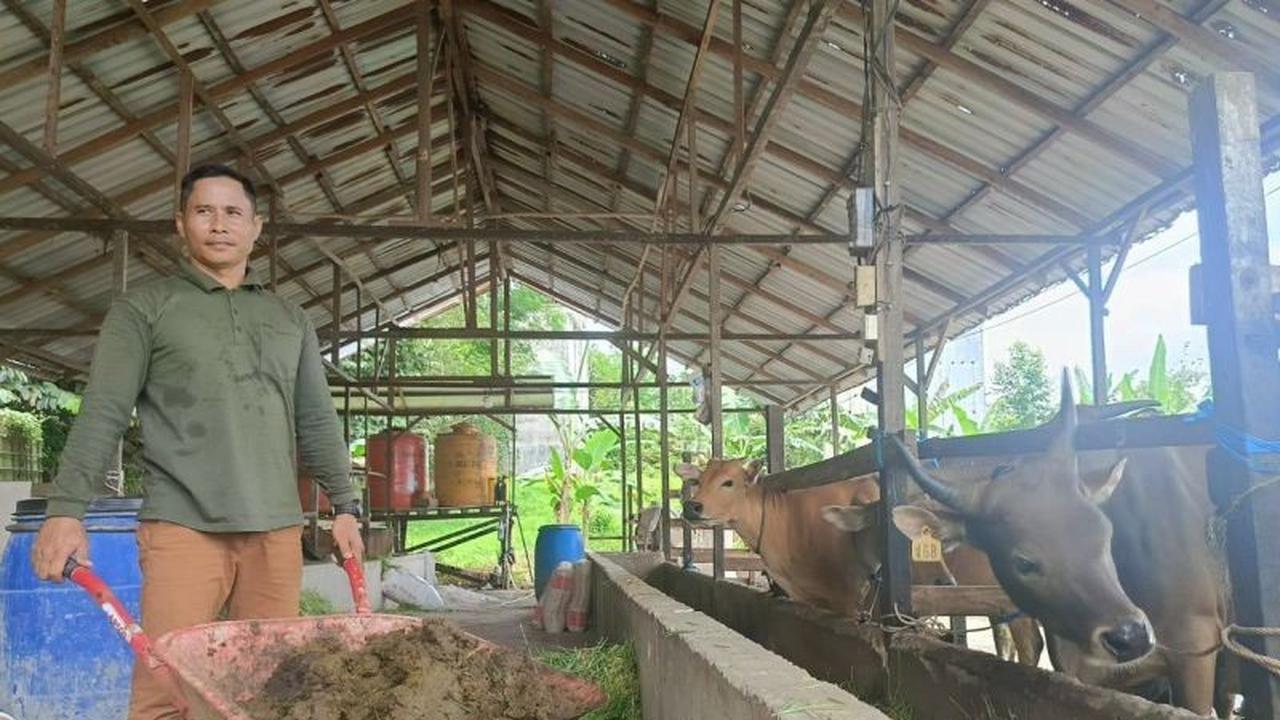 Biogas Kotoran Sapi: Inovasi Mandirikan Energi dan Ekonomi Warga Kaltim