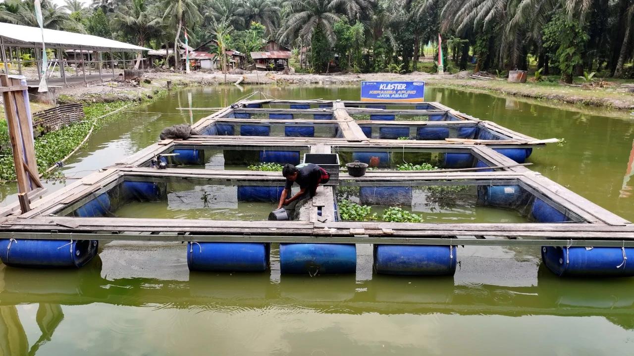 Berikan Layanan Keuangan yang Inklusif, BRI Dongkrak Perekonomian Desa Empang Baru di Kabupaten Siak