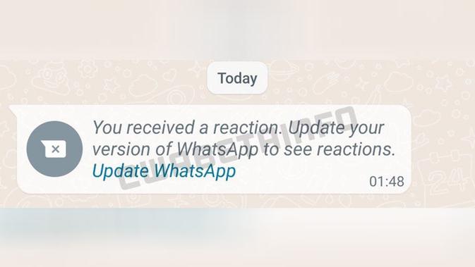 Fitur reaksi di WhatsApp. (Doc: WABetaInfo)