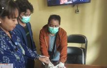 Anjing Positif Rabies Serang Acara Hajatan di Jembrana, Gigit Dua Balita