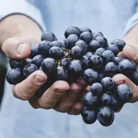 Lima zodiak ini suka berbagi pada sesama. (Sumber foto: unsplash.com)