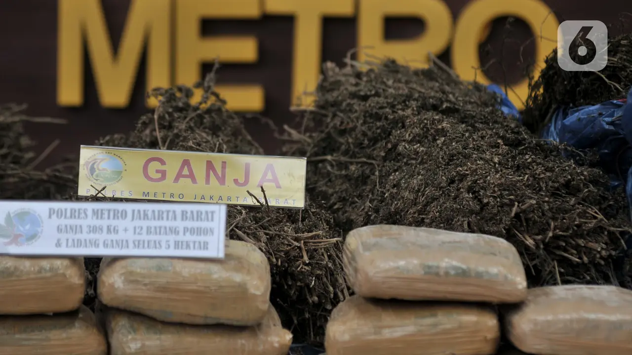 Peredaran Ganja