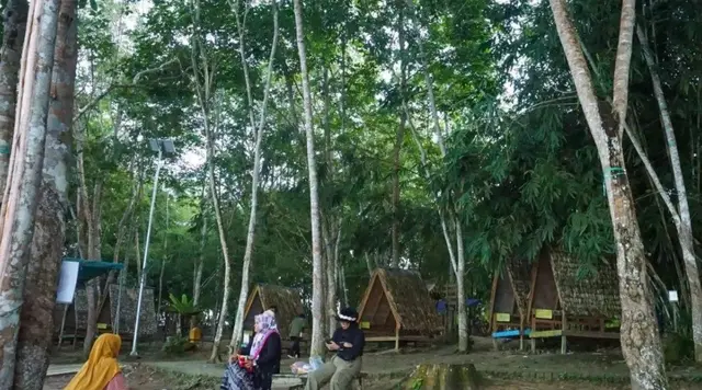Pemanfaatan Hutan Berkelanjutan di Kaltim Hasilkan Nilai Ekonomi