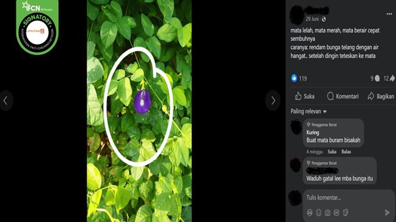 Gambar tangkapan layar postingan yang diklaim air rendaman bunga telang dapat menyembuhkan gangguan pada mata. (sumber: Facebook)