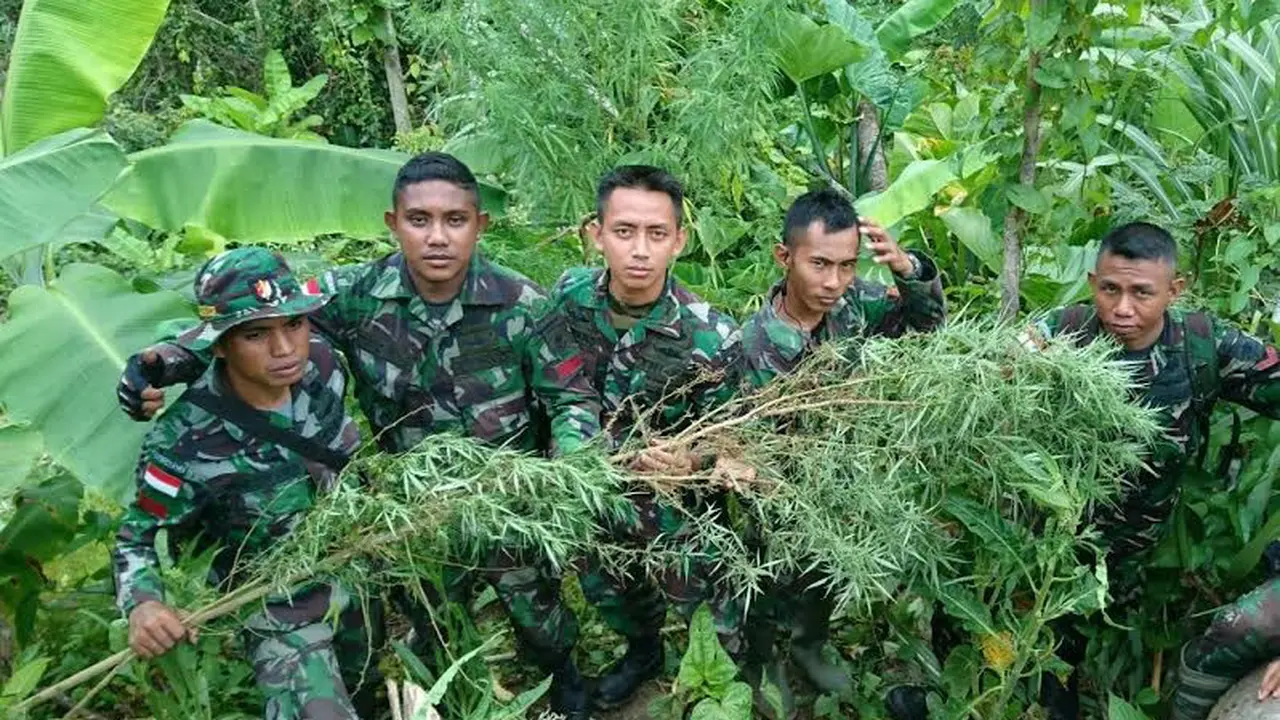 Ladang Ganja