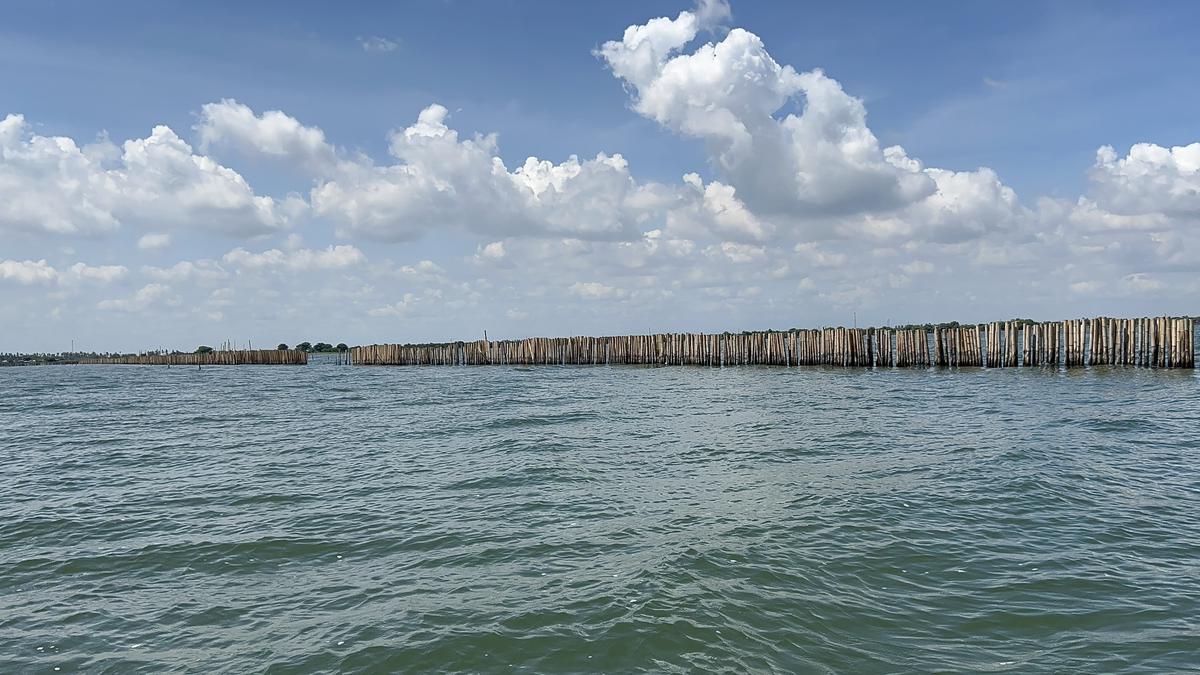 pagar laut di kohod