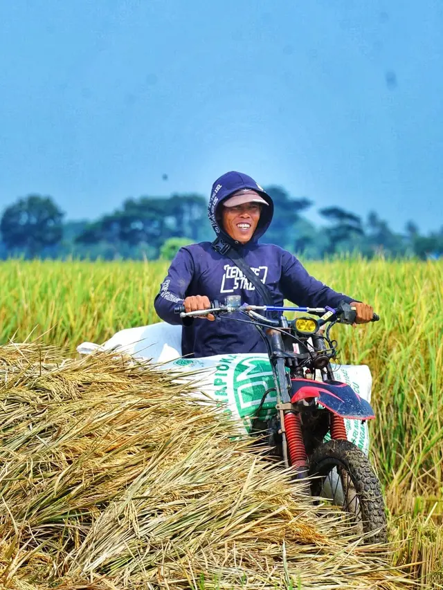 Petani di Kabupaten Bekasi Sampaikan Pesan dan Harapan Setelah Berhasil Panen Melimpah