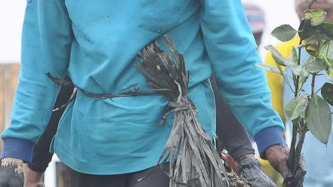 Direktur Pengembangan dan Pemasaran YKAN Ratih Loekito menyatakan, pelestarian ekosistem mangrove memerlukan dukungan semua pihak, termasuk swasta.<br>