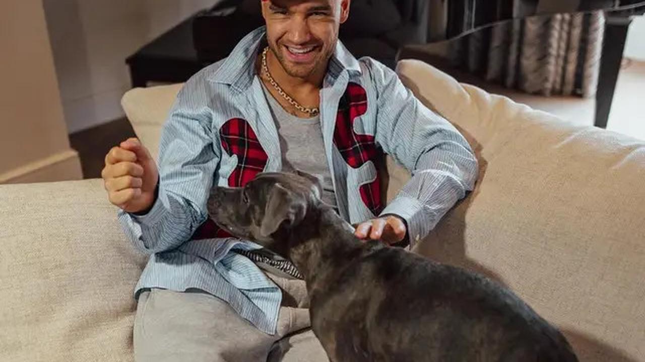 5 Masa Krisis Liam Payne Sebelum Meninggal, Ada Perjuangan di Baliknya