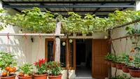 6 Inspirasi Kebun Buah Gantung di Teras Rumah untuk Hunian Minimalis yang Produktif