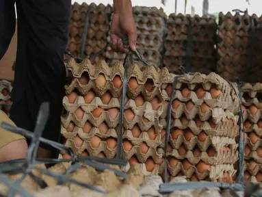 Pekerja memindahkan telur ayam dalam kemasan untuk dikirim menuju pasar di kawasan Karang Tengah, Kota Tangerang, Banten, Selasa (5/12/2023). (Liputan6.com/Angga Yuniar)