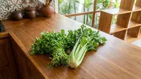 Beda Daun Ketumbar dan Seledri yang Sering Tertukar, Jangan Sampai Salah Masuk ke Masakan