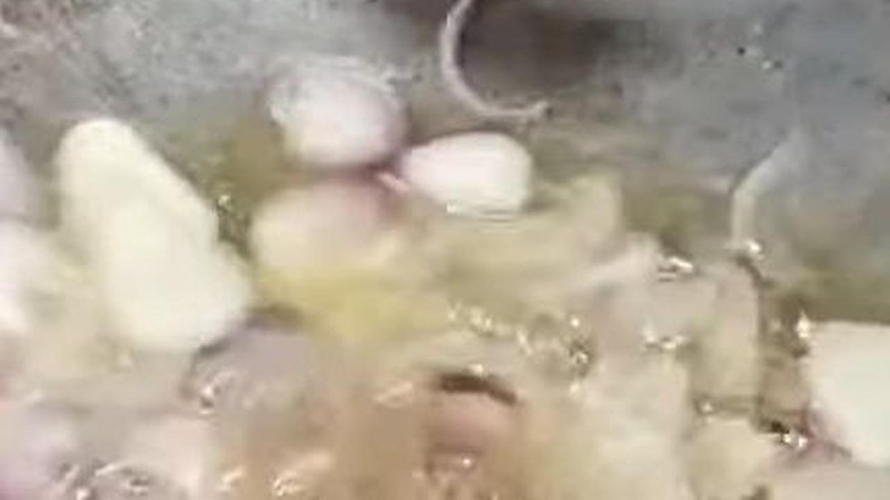Tumis Bawang Merah dan Bawang Putih