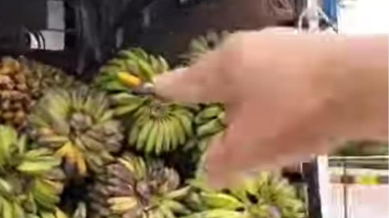mobil angkut pisang dituding bawa sabu