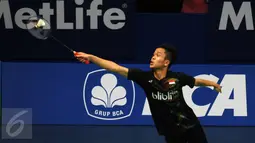 Pebulutangkis tunggal putera Indonesia, Anthony S Ginting menahan bola saat melawan Jan O Jorgensen (Denmark) di BCA Indonesia Open 2016, Istora Senayan Jakarta, Rabu (1/6/2016). Anthony S Ginting kalah 20-22, 23-25. (Liputan6.com/Helmi Fithriansyah)