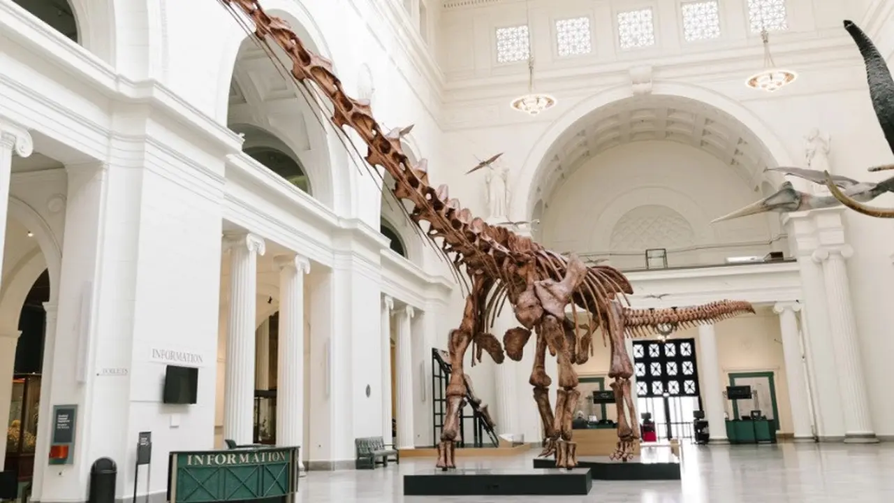 Dinosaurus Terbesar di Bumi