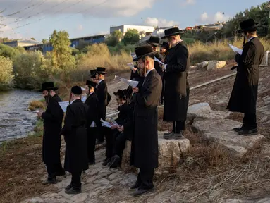 Yahudi ultraortodoks berpartisipasi dalam upacara Tashlich di tepi sungai dekat Beit Shemesh, Israel, Rabu (20/9/2023). Tashlich, yang berarti 'membuang' dalam bahasa Ibrani, adalah praktik di mana orang Yahudi pergi ke perairan besar yang mengalir dan secara simbolis 'membuang' dosa mereka dengan melemparkan sepotong roti atau makanan serupa ke dalam air. (AP Photo/Ohad Zwigenberg)