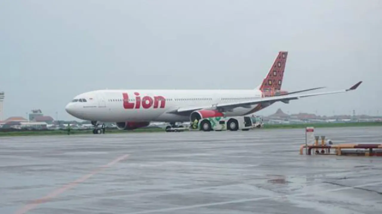 Lion Air (Dok: Istimewa)