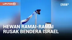 Burung Gagak dan Kucing Rusak Bendera Israel