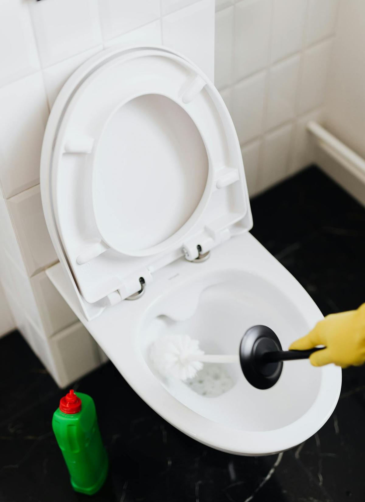 Ilustrasi Membersihkan Toilet
