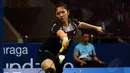 Pebulutangkis putri Indonesia, Lindaweni Fanetri kalah setelah bertanding tiga set (16-21, 21-18, 12-21) melawan Nichaon Jindapon (Thailand) di ajang Indonesia Open 2014 yang digelar di Jakarta, (18/6/2014). (Liputan6.com/Helmi Fithriansyah)