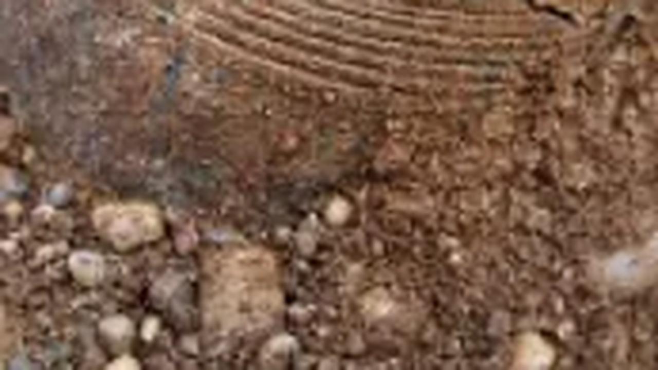 Desa Celtic Kuno Berusia 2.300 Tahun Ditemukan di Tengah Ladang, Ada Pemakaman Umum Sampai Balai Desa