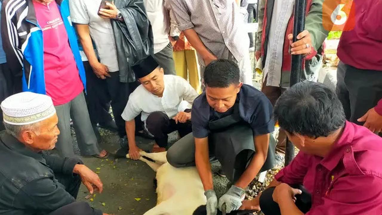 Waktu yang Tepat Menyembelih Hewan Kurban dan Tata Caranya, Penjelasan Buya Yahya