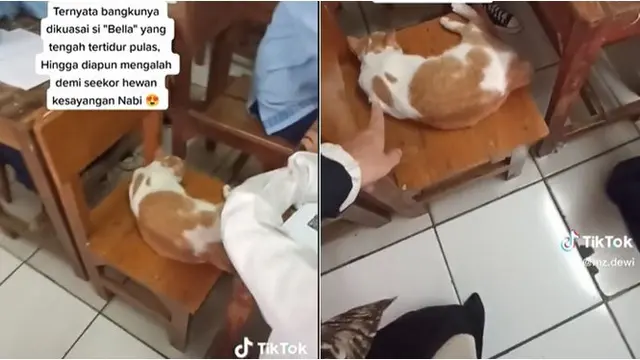 Seorang Siswi Berlutut saat Kerjakan Soal Ujian, Ternyata Ada Hewan Ini di Kursinya